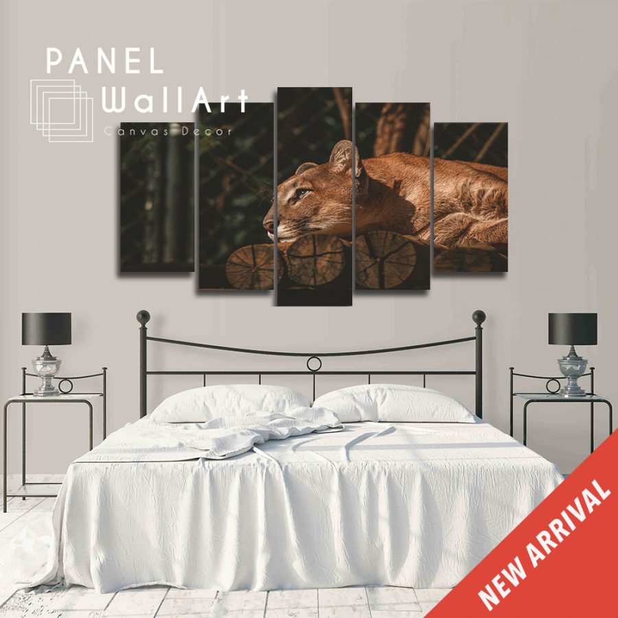 Resting Lion Canvas Wall Art