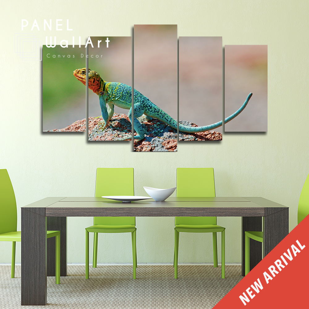 Sunbathing Crotaphytus Reptiles Canvas Wall Art