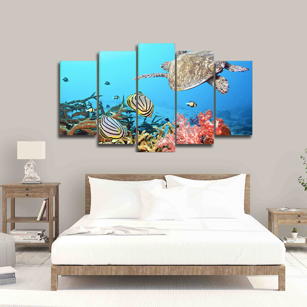 Turtle Animal Canvas Wall Art