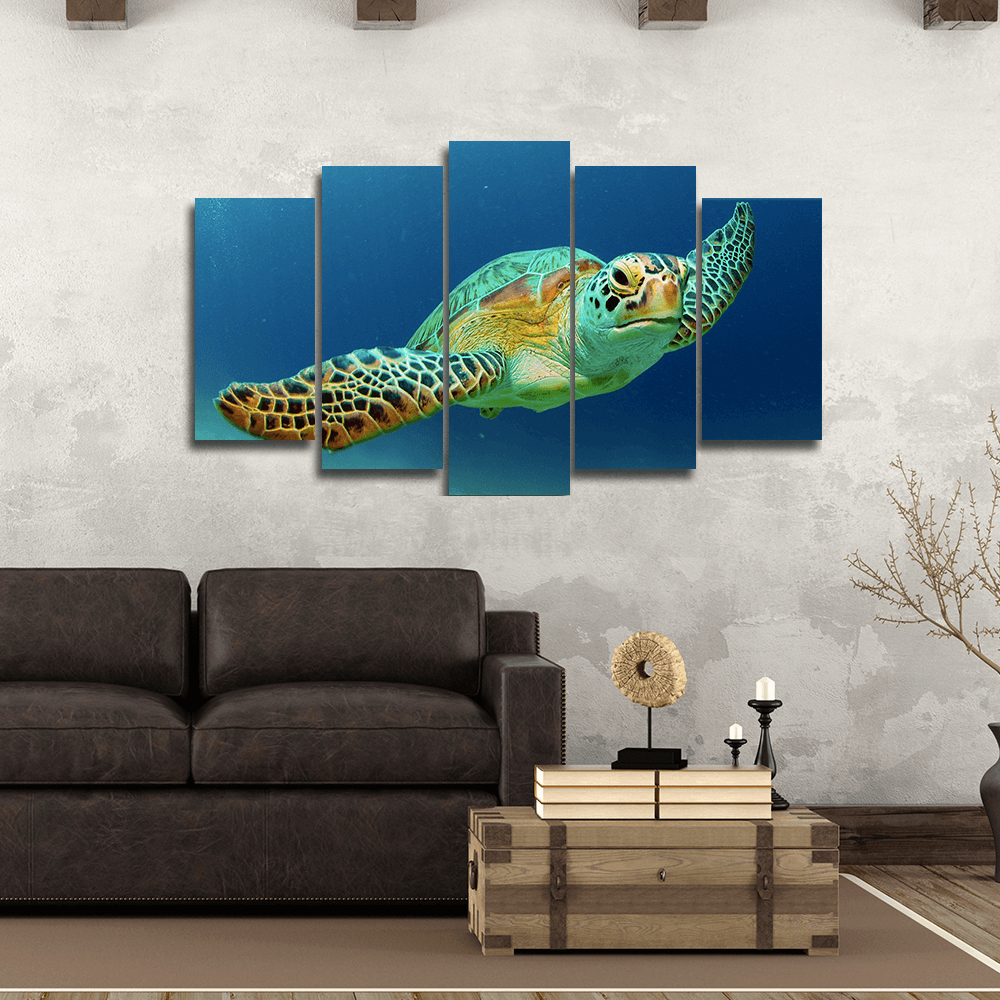 Exotic Turtle Canvas Wall Art Exotic Turtle Canvas Wall Art