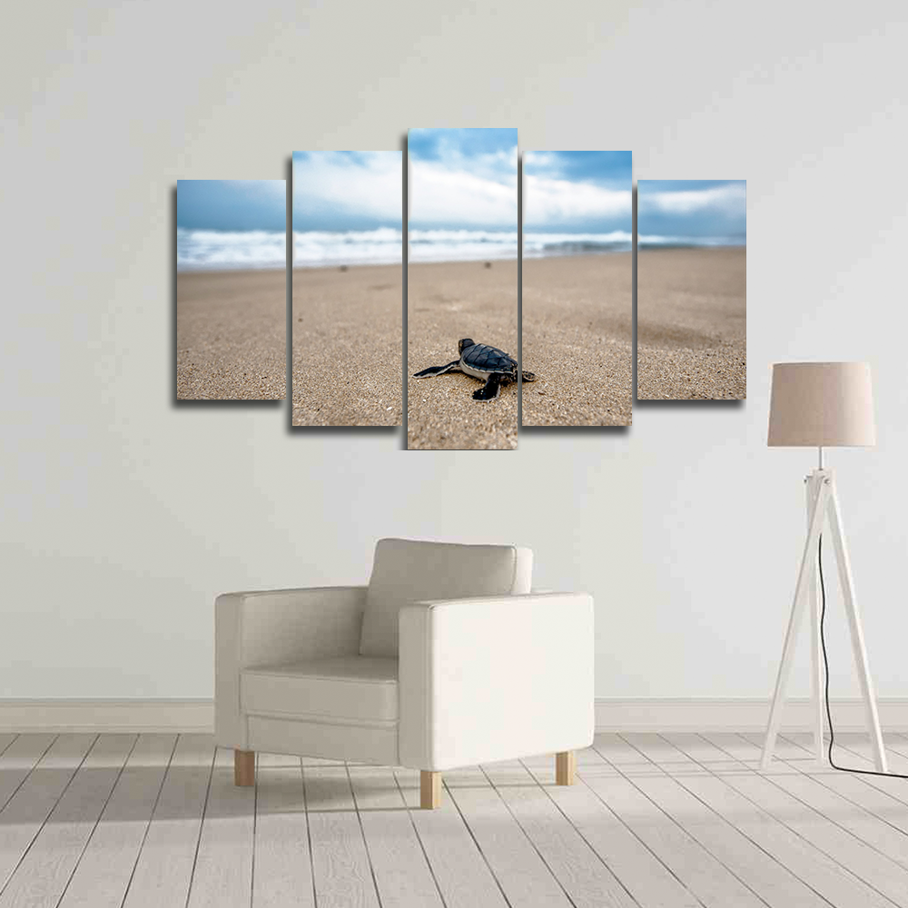 Turtle On Beach Canvas Wall Art