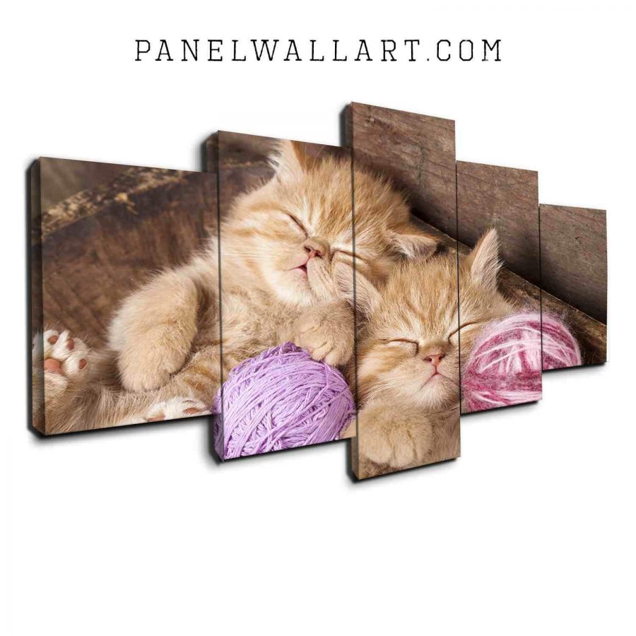 Two Sleeping Kittens Canvas Wall Art